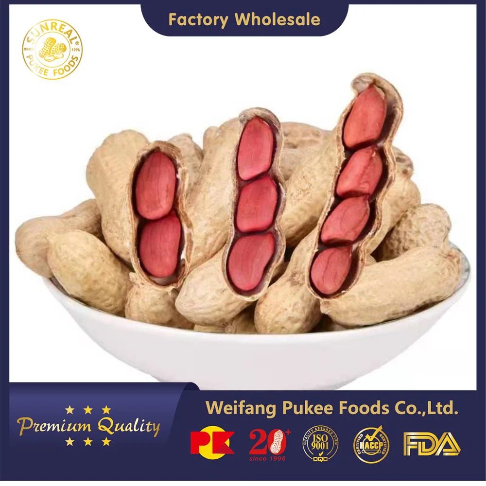 Raw Peanut in Shell/Red Skin/Zhenzhudoutype /Best Quality