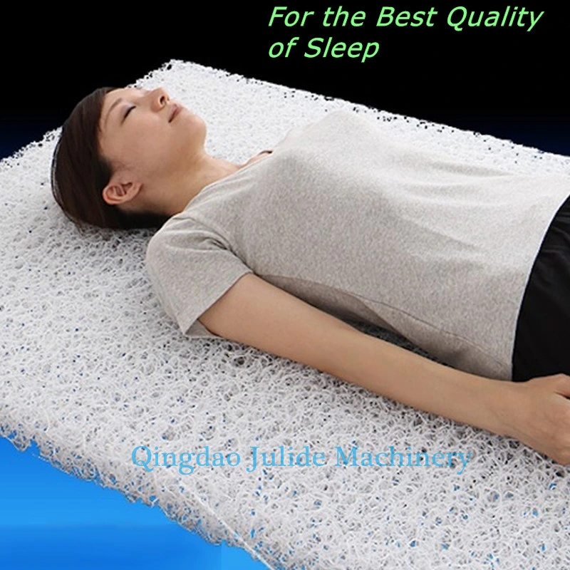 Single Screw Plastic Hotel/Hostel/Nursing/Dormitry/Household/Bedroom Mattress Making Machine