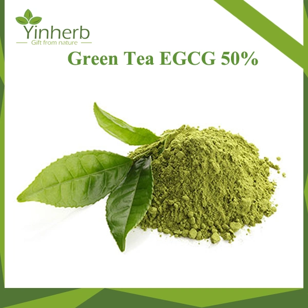 Pure Natural Green Tea Extract Powder/Tea Polyphenols Powder 50%/ EGCG 60%/L-Theanine 98%