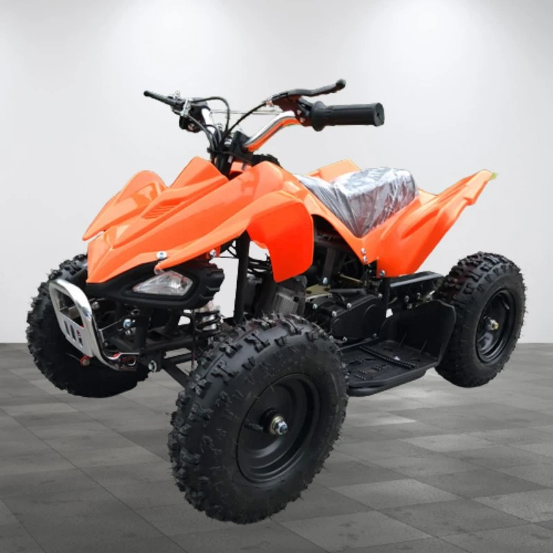 Factory Directly Wholesale/Supplier Good Quality Cheap Price 49cc Kids Quad for Sale