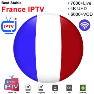 Stable Frankreich IPTV Server 1year Abonnement IPTV Französisch Spanien Deutschland Italien Android TV Box Smart TV Mag M3U Streaming IP TV