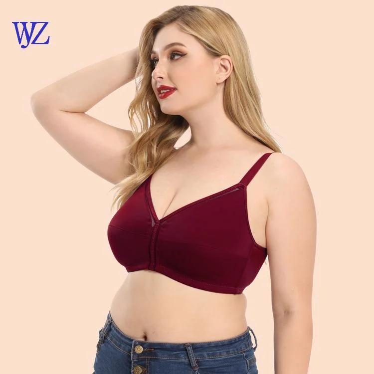 Wholesale/Supplier Big Cup Size Top Quality Plus Size Fancy Womens Girls Bra