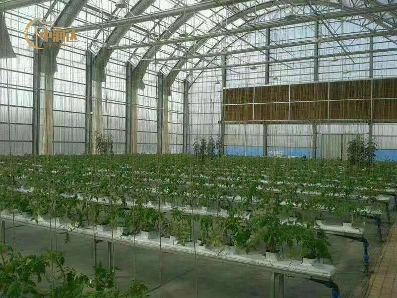 Aquaponics System Indoor Anbau Landwirtschaftliche Gewächshäuser Grow Cubes Steinwolle Hydroponisch