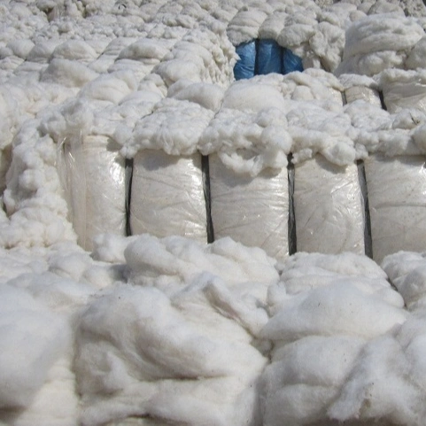 Cheap Raw Cotton Fiber Factory Wholesale/Supplier with Free Samples