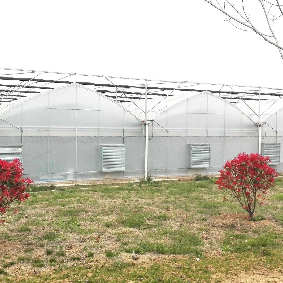 Garden Plastic Multi Span Film Poly Greenhouse with Hydroponic System