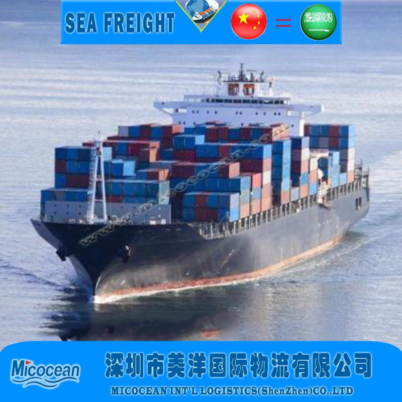 professional Freight Agent/ Sea/Air Shipping Service From China to Saudi Arabia with DDP/DDU