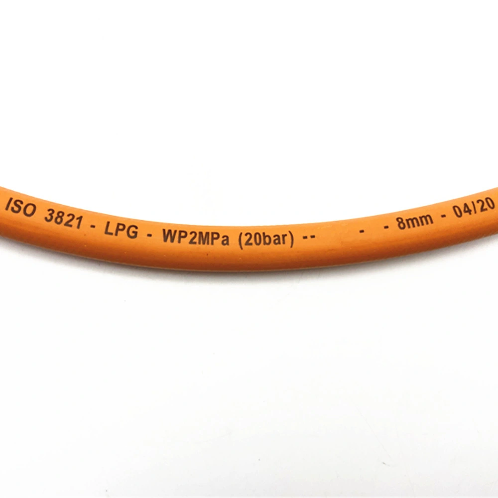 Flexible Propane LPG Gas Hose Pipe