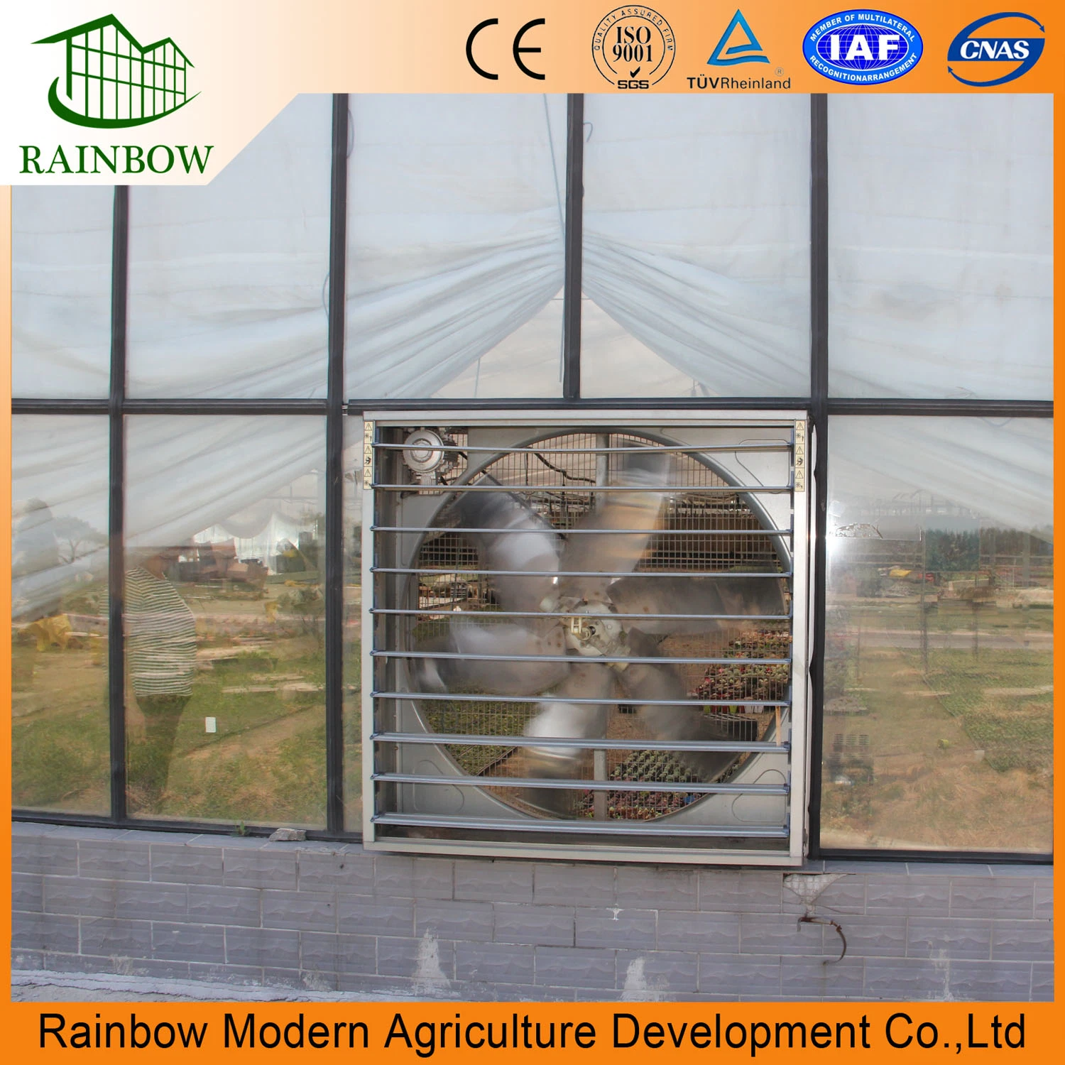 Significantly Effective Wall Mounted Exhausted Cooling Fan for Greenhouse/ Poultry