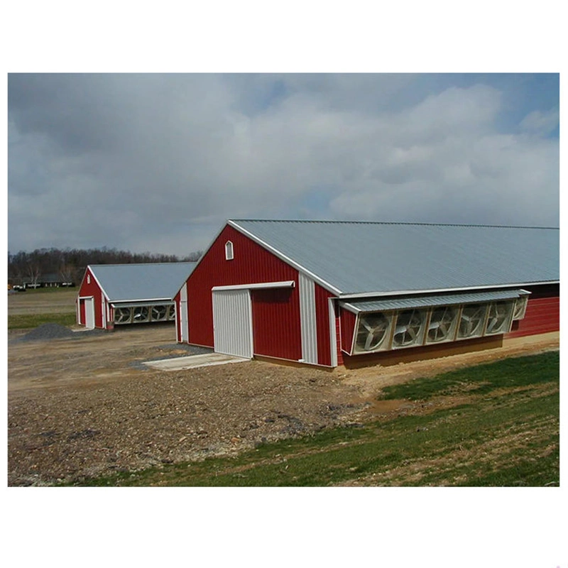 Chicken Coops with Low Cost and Inexpensive Price