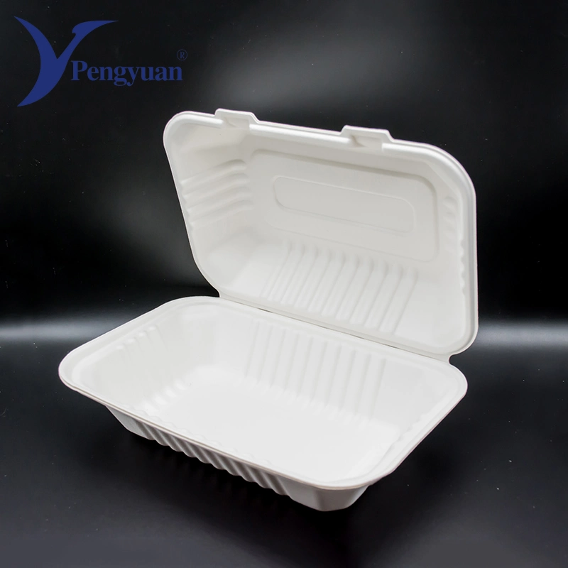 Biodegradable Food Container Disposable Sugarcane Pulp Container Packaging Tableware