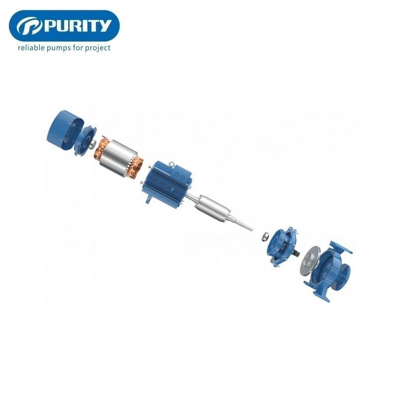 Purity Electric Close Coupled Monoblock Surface Zentrifugalwasserpumpe