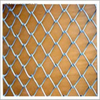 PVC/Vinyl Coated Chain Link Fence/Galvanized Diamond Mesh