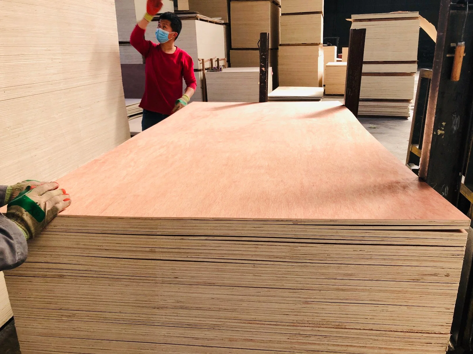 Cheap Plywood for Construction/Building material