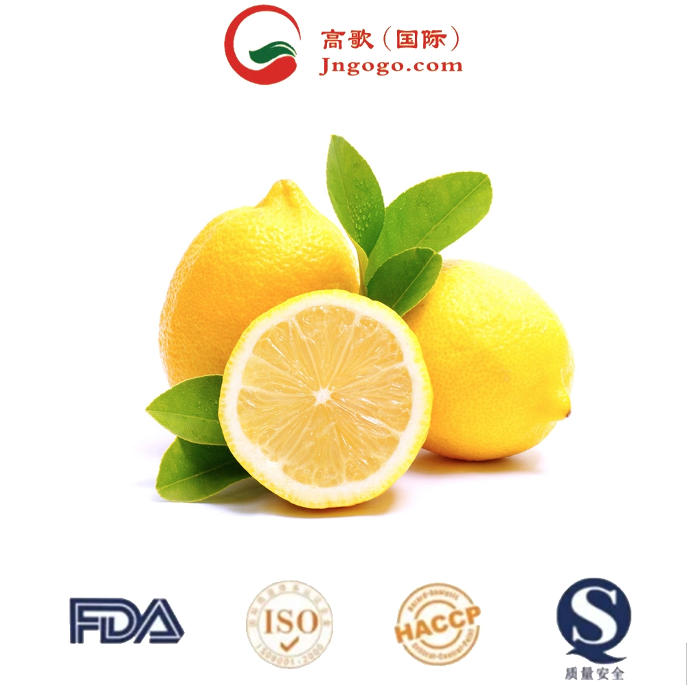 Fresh Fruits Wholesale/Supplier Best Price Fresh Citrus Fruit Lemon