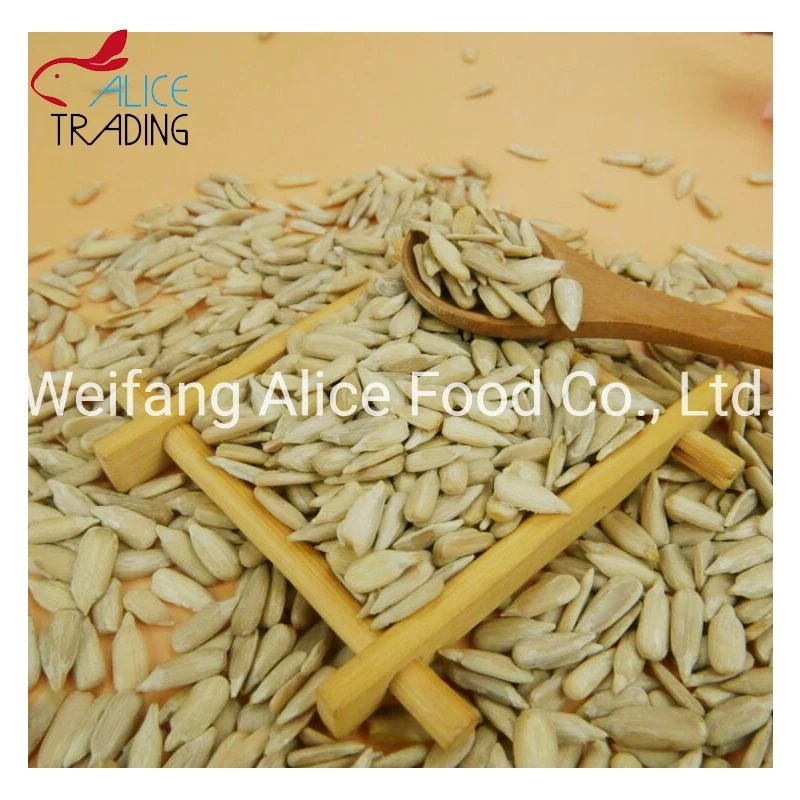 Bulk Price Wholesale/Supplier Chinese Sunflower Seeds Kernels