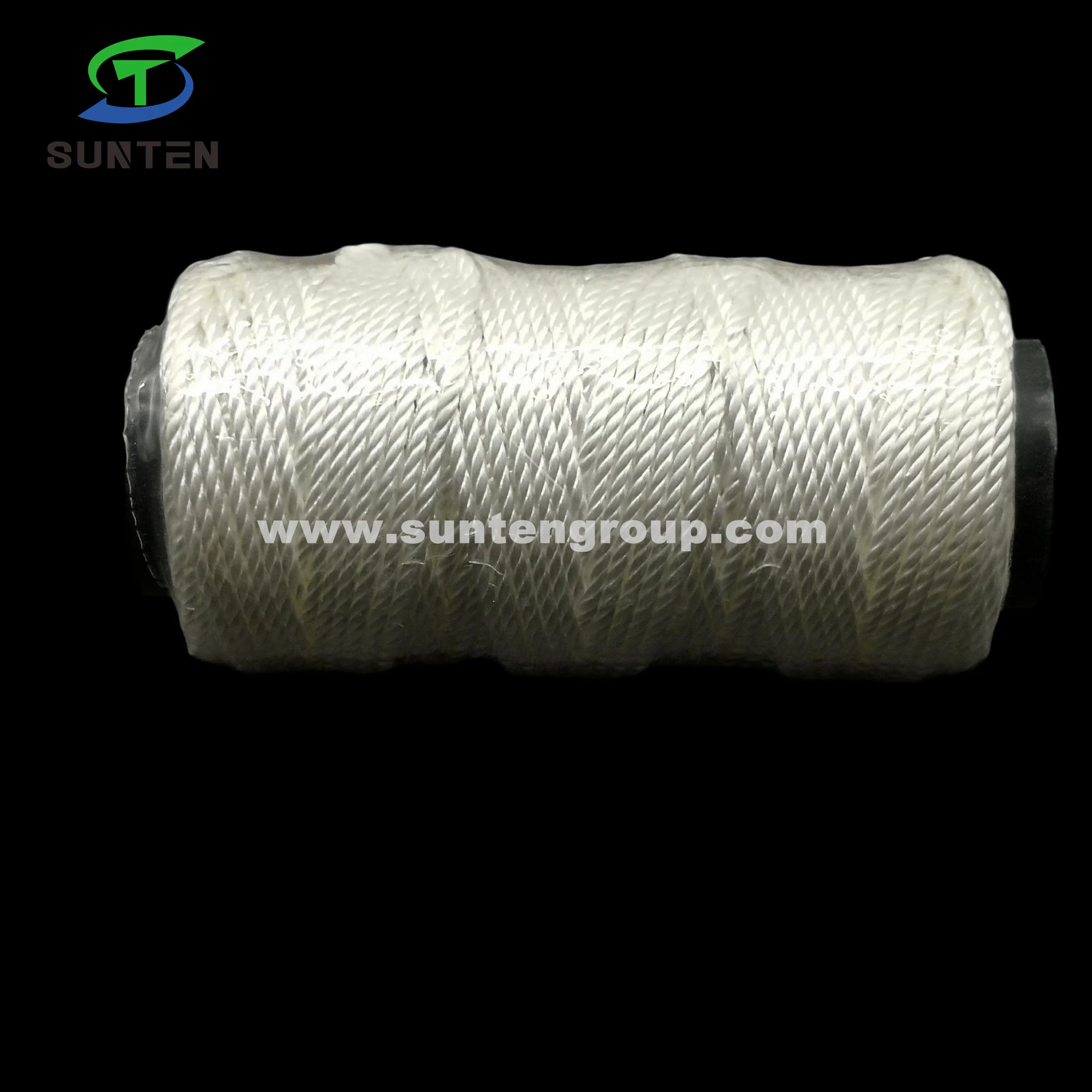 EU Standard High Tenacity PA/PE/PP/Polyester/Nylon/Polyethylene Plastic Twisted/Braided/Braid/Baler/Thread/Packing Line/Fishing Net Thread