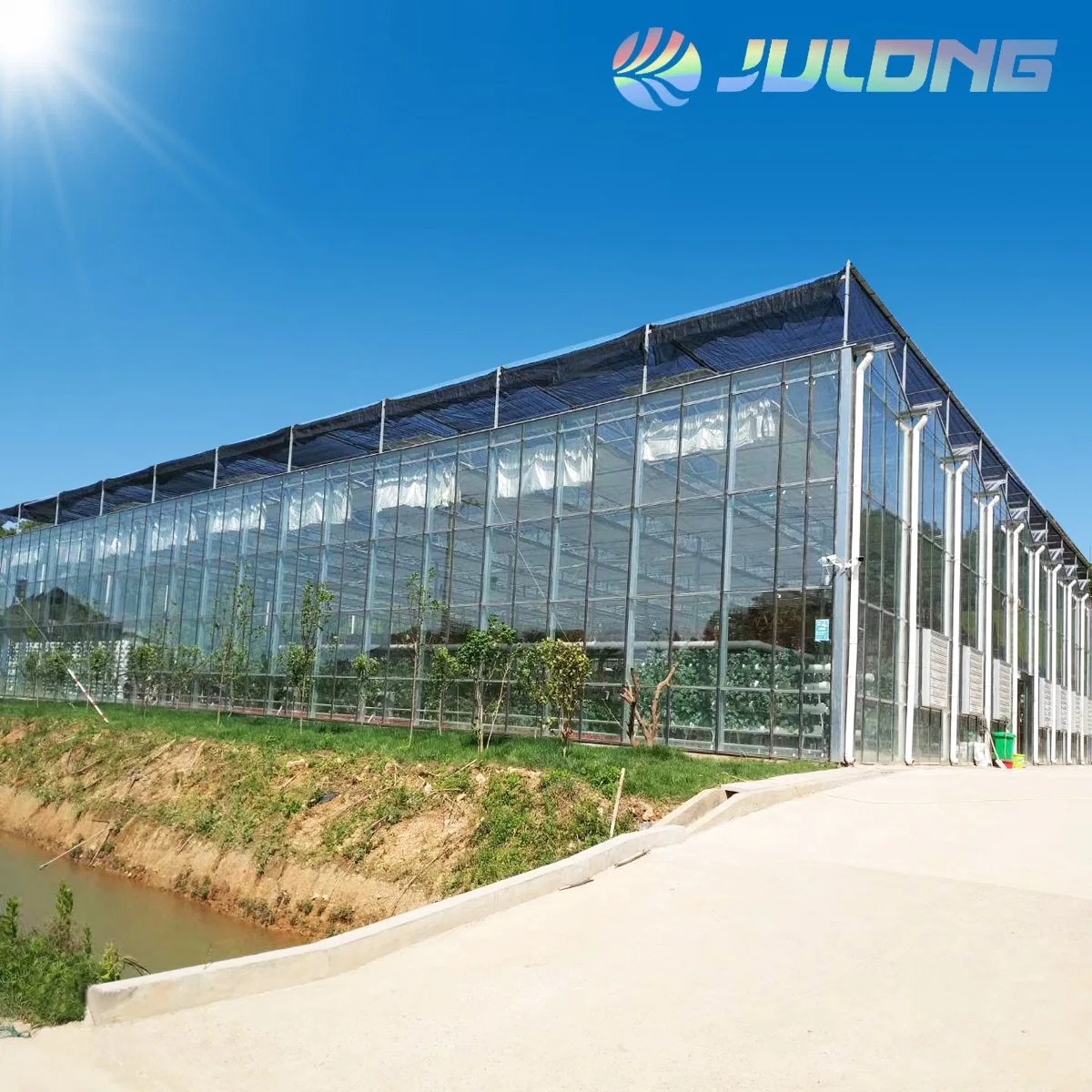 China Modern Agriculture Equipment Venlo Type Glass Greenhouse for Farming