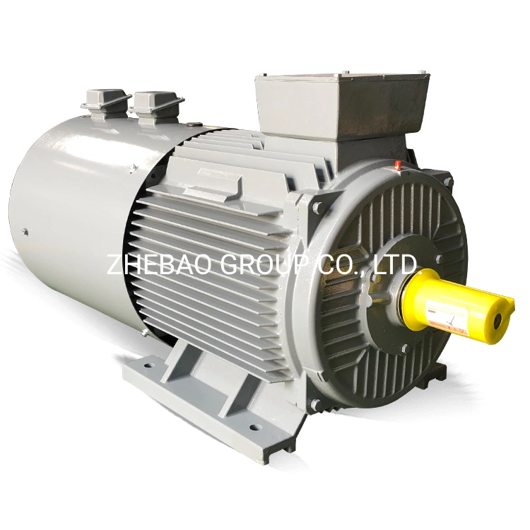 45kw Low Voltage Variable Frequency Speed Adjustable AC Induction Motor