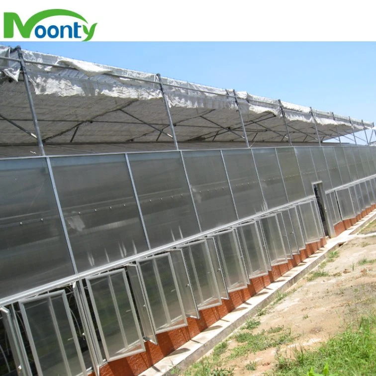 Factory Supplied Multi Spans Greenhouse with 8mm PC Hollow Transparent Sheet