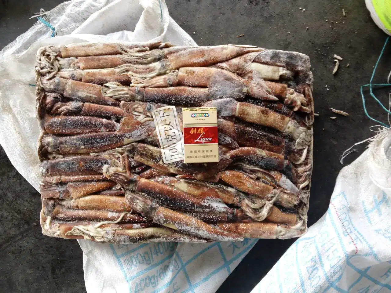 Under 100g Whole Argentine Squid for Bait