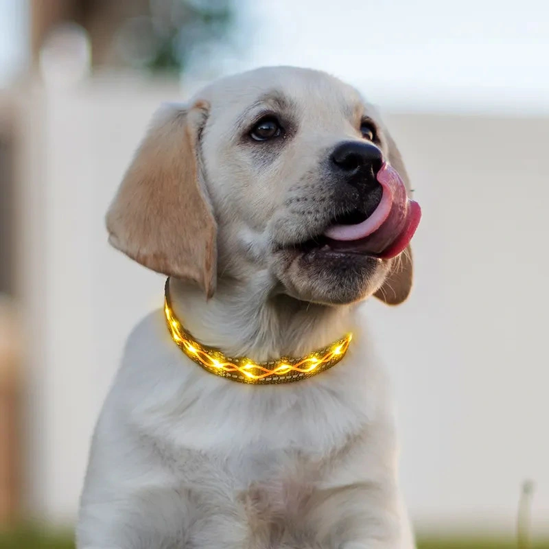 Customized Pet LED Dog Collars Charge Rechargeable Nylon LED Dog Collar