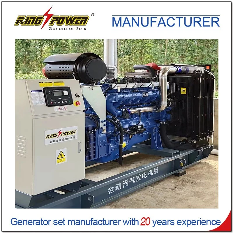 Professional Supplier of 7*24 Hours 380kw Open Silent Natural Gas Biogas CNG LNG LPG Generator