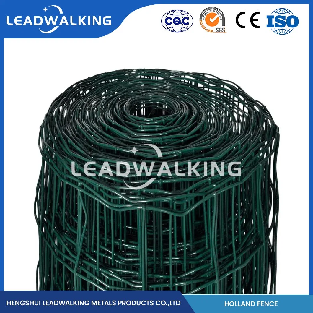 Leadwalking Plastic Power Coated electred Wire Mesh Factory High-Quality Powder-Coatedpvc Malha de arame holandesa revestida Fencing China 2"X3" polegada Holanda holandês Malha de arame