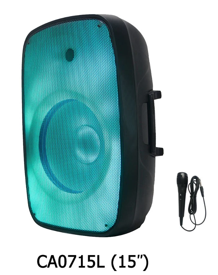 محرك Woofer Professiona Audio Sound Box PA Speaker System Karaoke مجموعات BT-TWS-Mic--FM-Echo-EQ+Flame Light Bocina Parlant