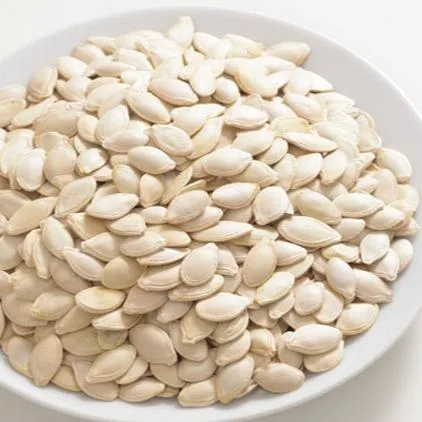 Chinese Snow Pumpkin Seeds Big Size Pumpkin Seeds with Good Price