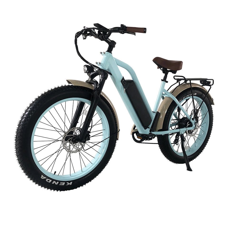 Green 17.5ah 750W High quality/High cost performance  Popular Lithium Battery China Electric Bicycle for Adults