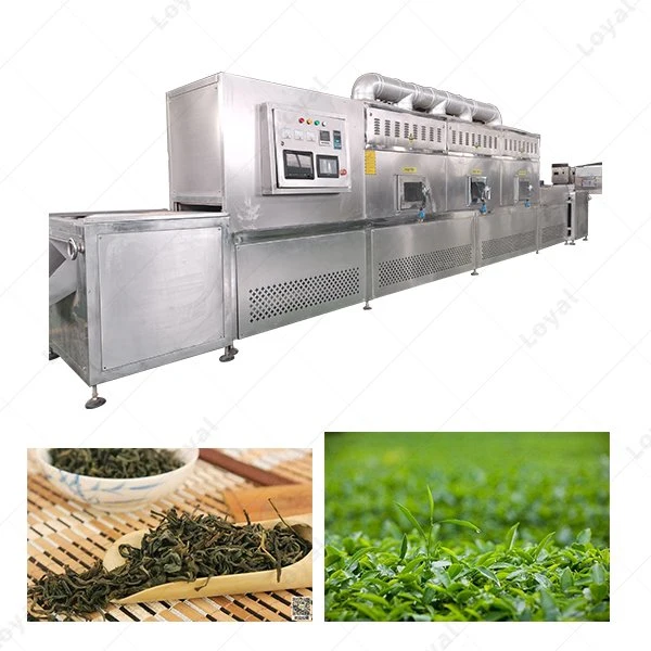 Industrial Tunnel Chamber Moringa Leaves Microwave Dryer Teas Herbs Microwave Sterilization Equipment Rose Flower Microwave Drying Oven