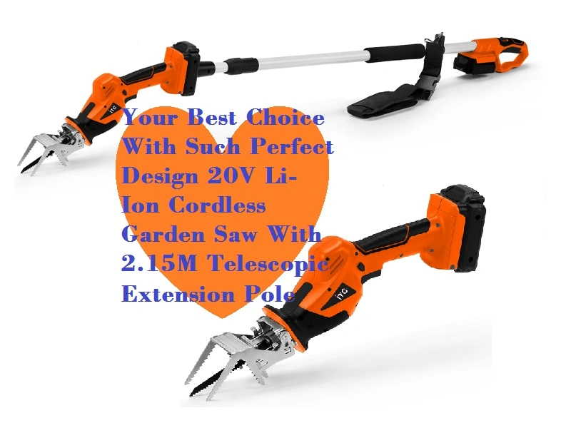 20V Multi-Li-ion Battery Cordless Electric Garden Saw/Reciprocating Saw-Garden Power Tools