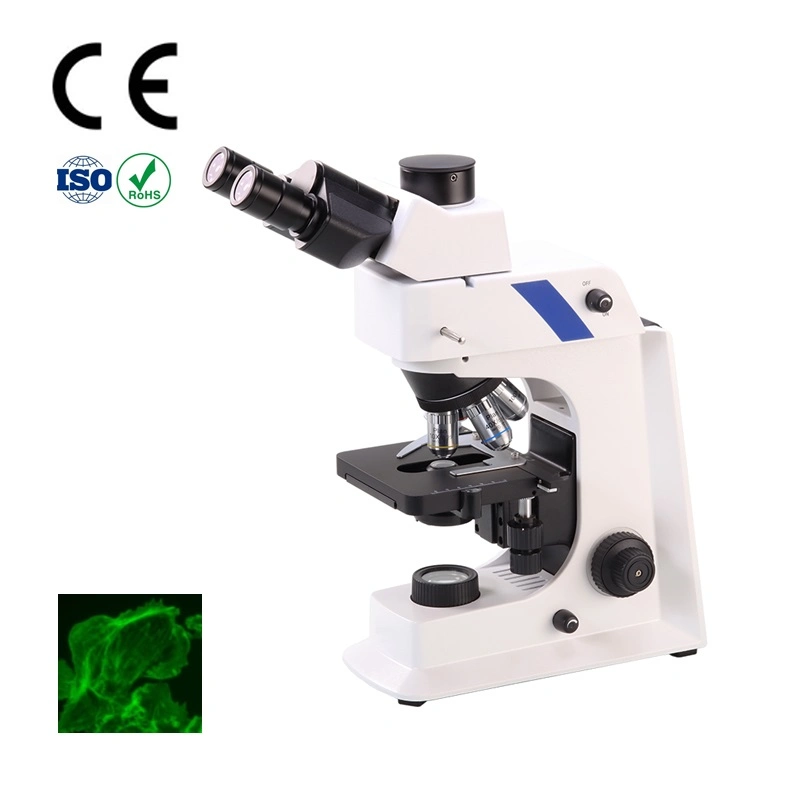 Olympus Triocular Contrast Fluorescence Video Biological Microscope Pictures & Photos