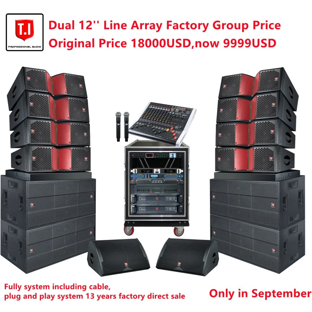 2023 New Arrival Dual 12 Inch Line Array Speaker Cabinet Accessories with AMP Mixer Monitor