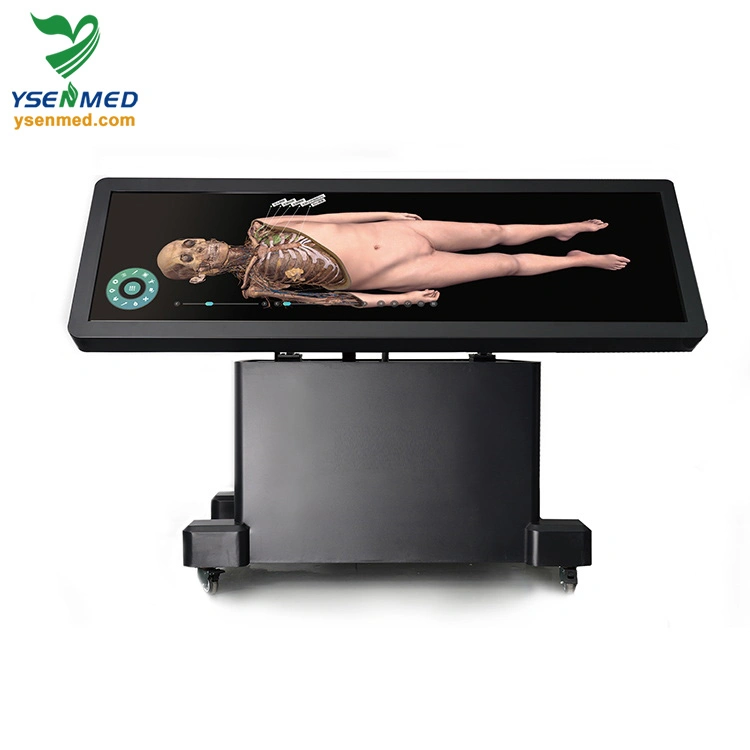 Ysdha-II88 HD DigiHuman Virtual Anatomy Table System Медицинское оборудование