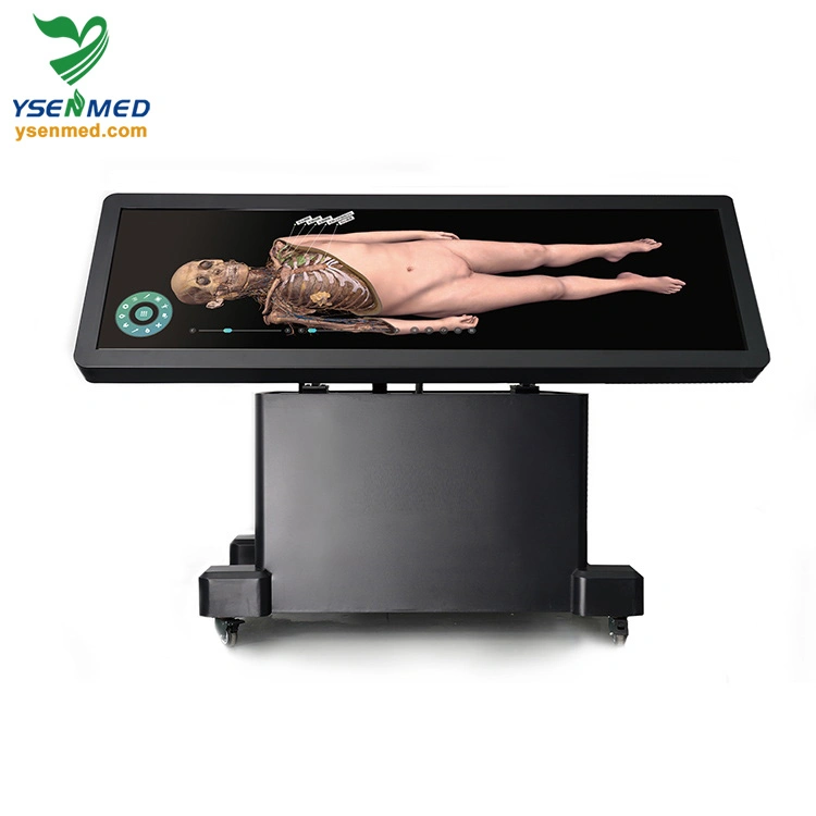 Ysdha-II88 HD Digihuman humano Virtual Anatomy Table System equipos médicos