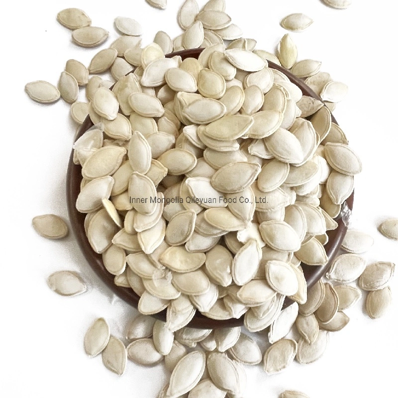 Inner Mongolia Direct Sale Factory New Crop Pumpkin Seeds