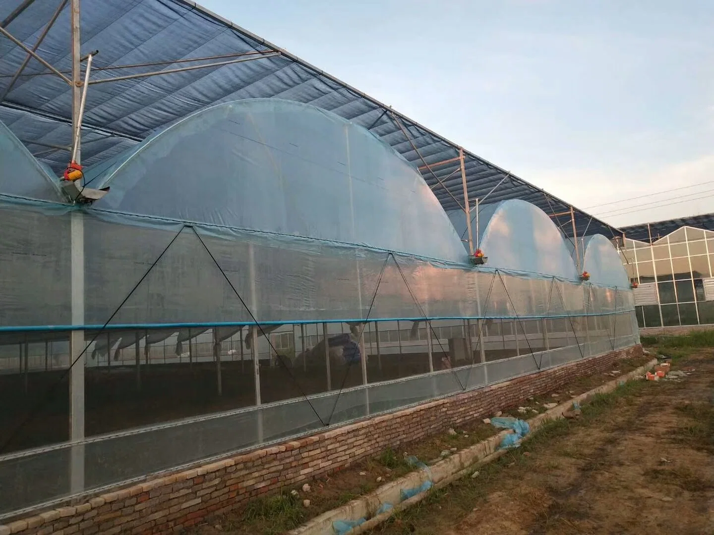 Buena calidad bajo costo Venta caliente Polytunnel Berry Greenhouse