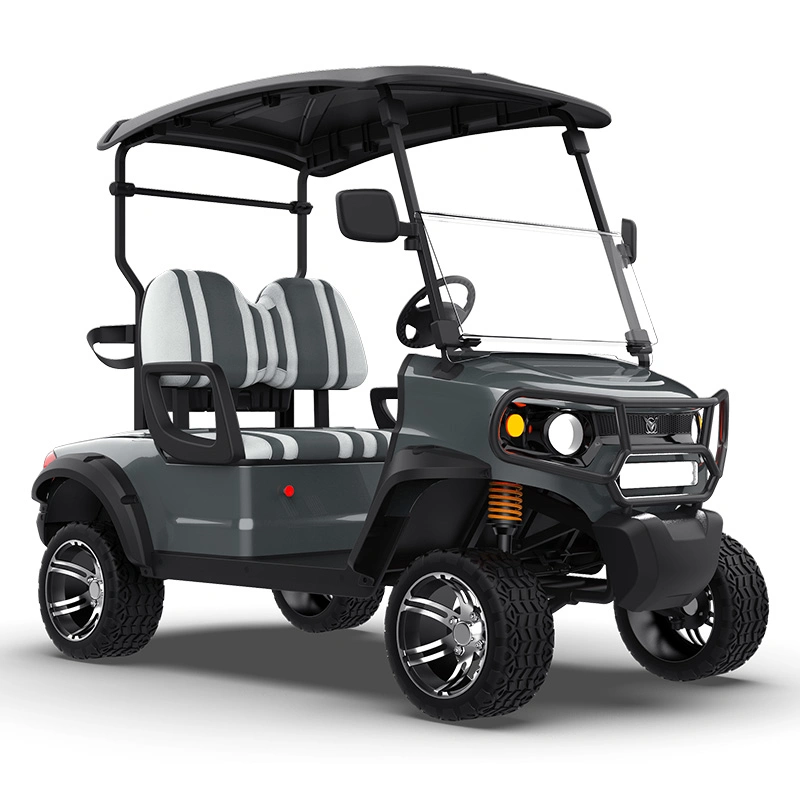 Buggy Kinghike/carrinhos de golfe refeições e carregados em contentores E Z Ir Buggy Carrinho