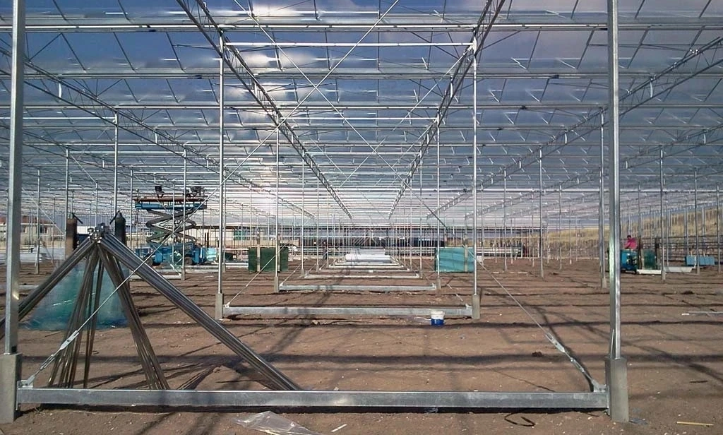 Modern Multi-Span Plastic Film/ Glass/ Polycarbonate Hydroponic Greenhouse for Agriculture