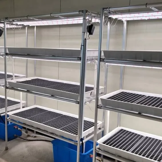 Container Greenhouse with Automatic Control System and Water Circulation System