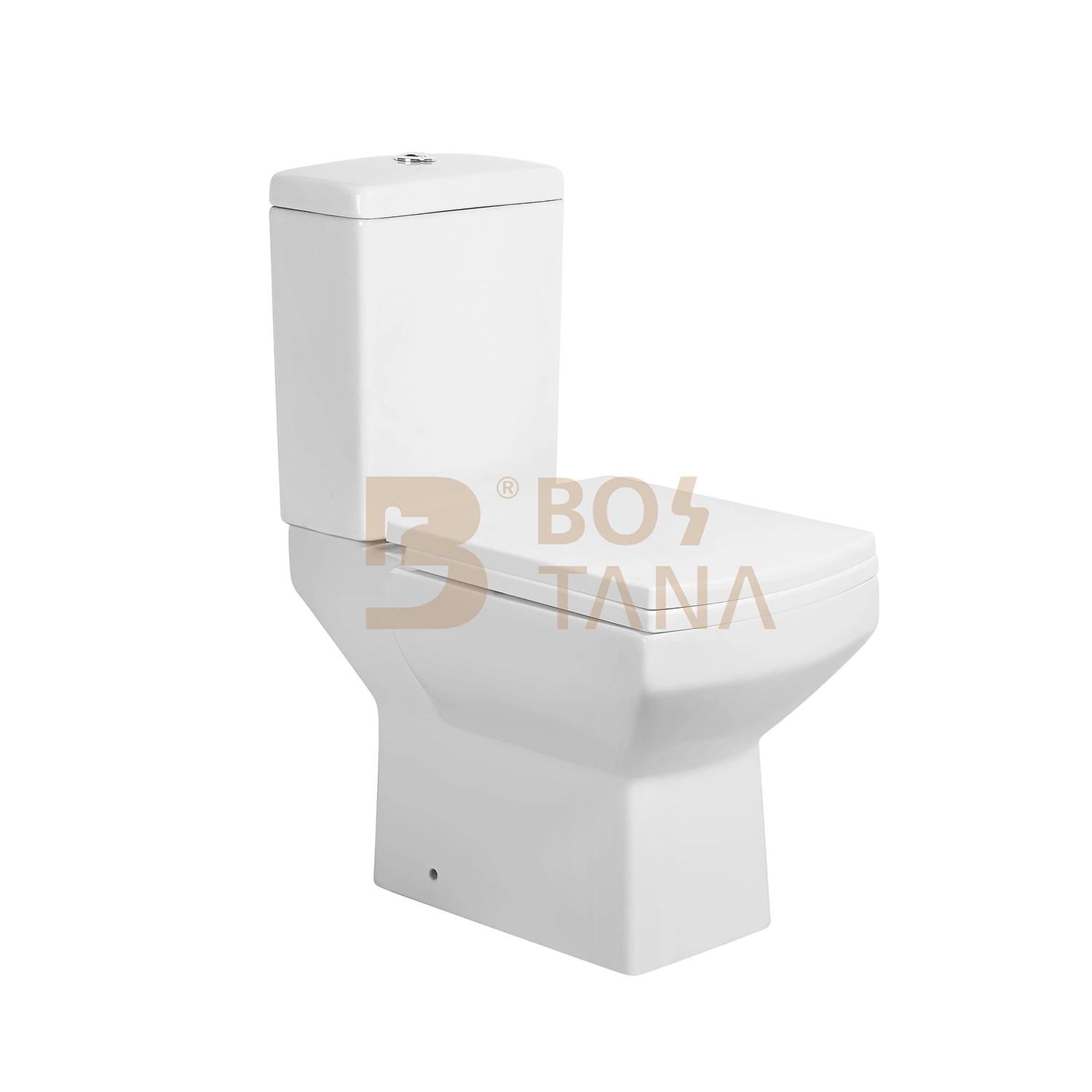 China Factory Bathroom Wc Washdown Toilet Two Piece Toilet Ceramic Sanitaryware