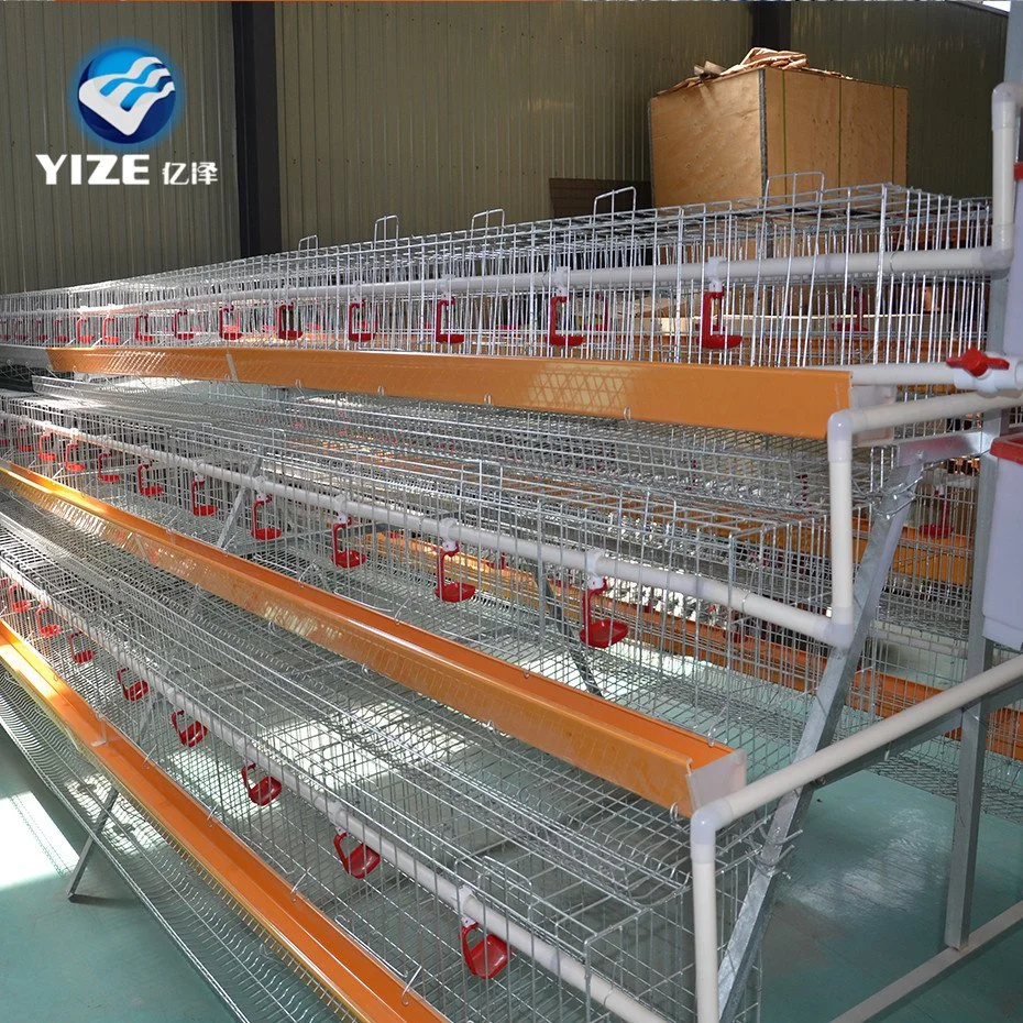 Good Quality Layer Chickan Cage Zimbabwe Farm Poultry Equipment for