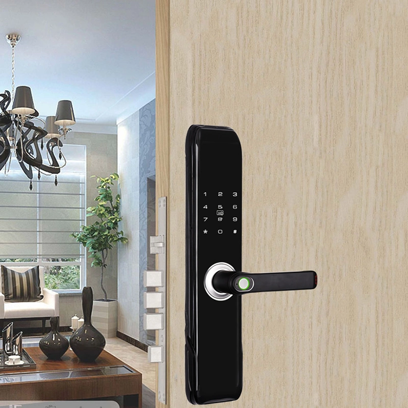 Fingerprint/Password/Key/Card for Home/Hotel/Apartment Smart Lock Fingerprint Door Lock