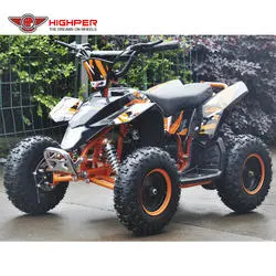 New Electric Mini ATV for Kids Quad Bike 800W/1000W /36V14ah