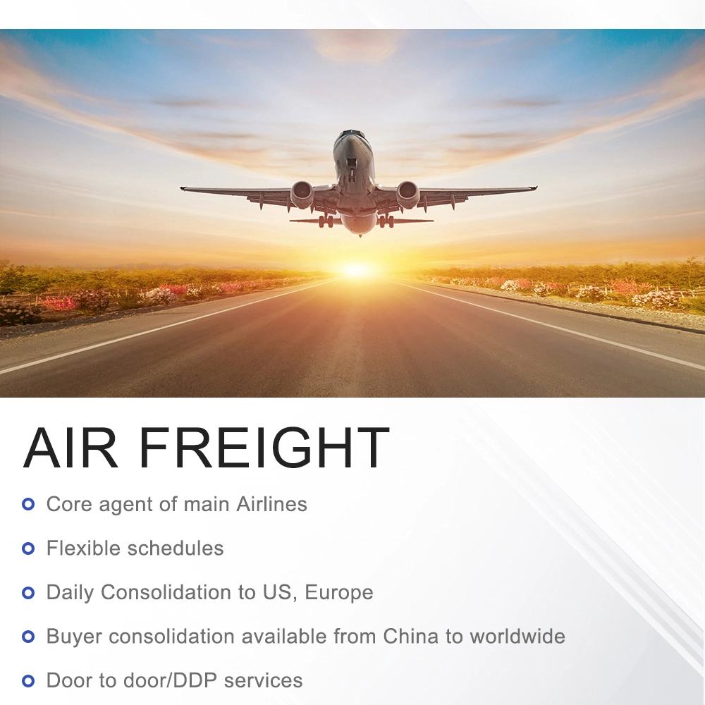 شركة China Professional ذات خبرة خدمات دعم الشحن الجوي إلى الرياض المملكة العربية السعودية