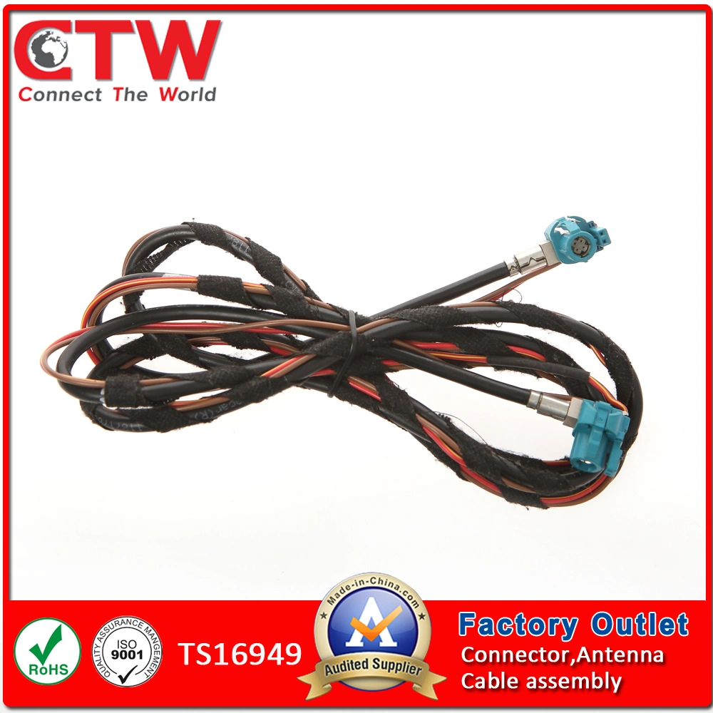 Auto Double Fakra Auto Car Industry Wiring Harness/Wire Harness Connector