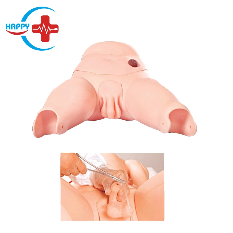 Hc-S124 Advanced Male Catheterization Model