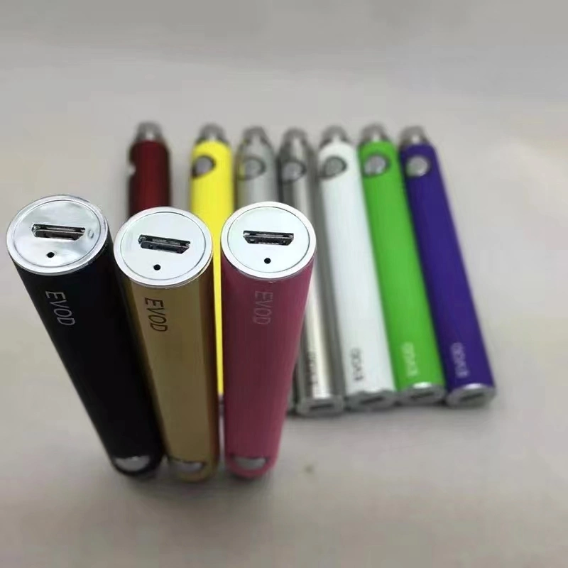 Wholesale/Supplier 3000 Puff Disposable/Chargeable Vape with OEM Brand Evod Battery