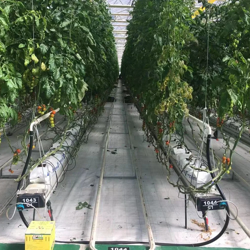 Automatic Hydroponic Xinhe Growing Intelligent Hydroponics System